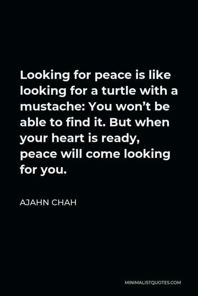 Ajahn Chah Quote - Looking for peace is like looking for a turtle with a mustache: You won’t be able to find it. But when your heart is ready, peace will come looking for you.