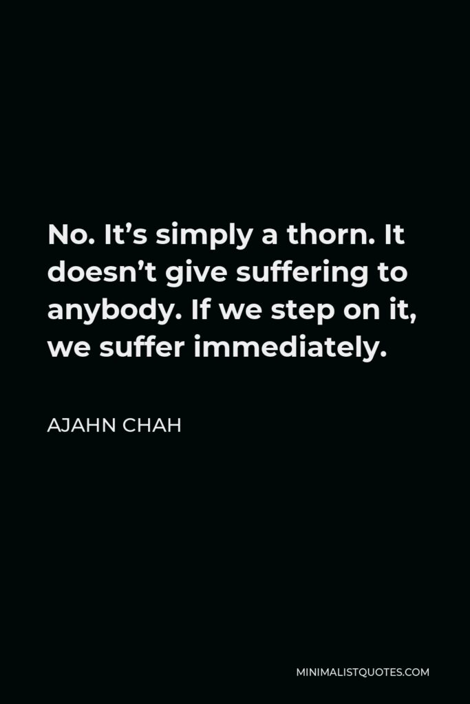 Ajahn Chah Quote - No. It’s simply a thorn. It doesn’t give suffering to anybody. If we step on it, we suffer immediately.