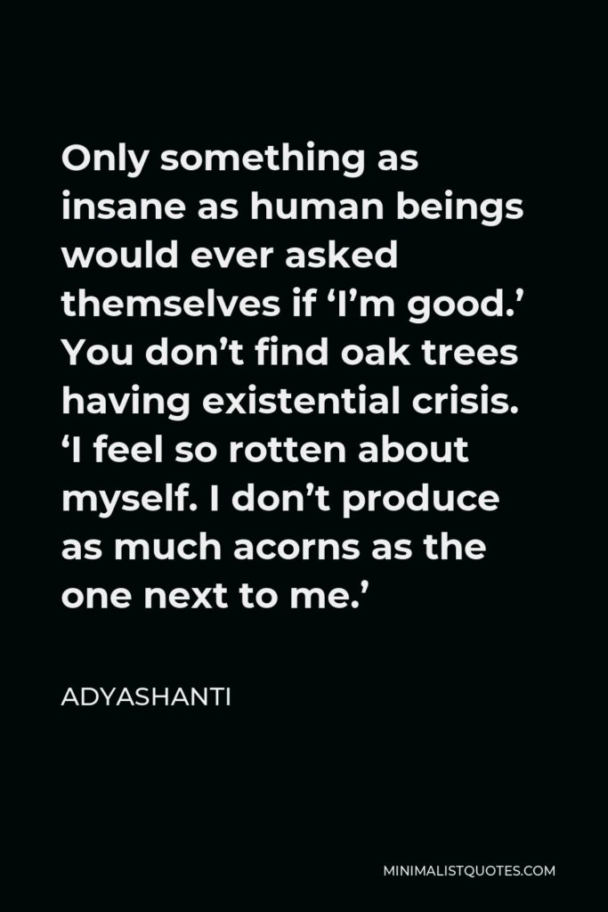Adyashanti Quote - Only something as insane as human beings would ever asked themselves if ‘I’m good.’ You don’t find oak trees having existential crisis. ‘I feel so rotten about myself. I don’t produce as much acorns as the one next to me.’