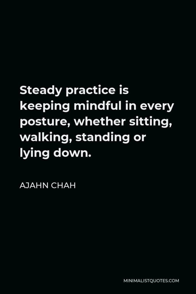 Ajahn Chah Quote - Steady practice is keeping mindful in every posture, whether sitting, walking, standing or lying down.
