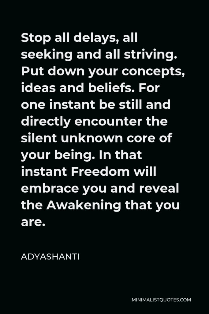 Adyashanti Quote - Stop all delays, all seeking and all striving. Put down your concepts, ideas and beliefs. For one instant be still and directly encounter the silent unknown core of your being. In that instant Freedom will embrace you and reveal the Awakening that you are.