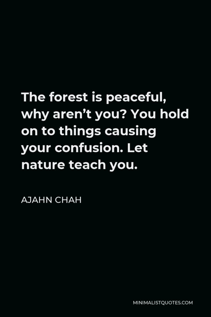 Ajahn Chah Quote - The forest is peaceful, why aren’t you? You hold on to things causing your confusion. Let nature teach you.