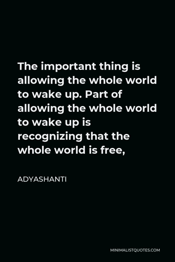 Adyashanti Quote - The important thing is allowing the whole world to wake up. Part of allowing the whole world to wake up is recognizing that the whole world is free,