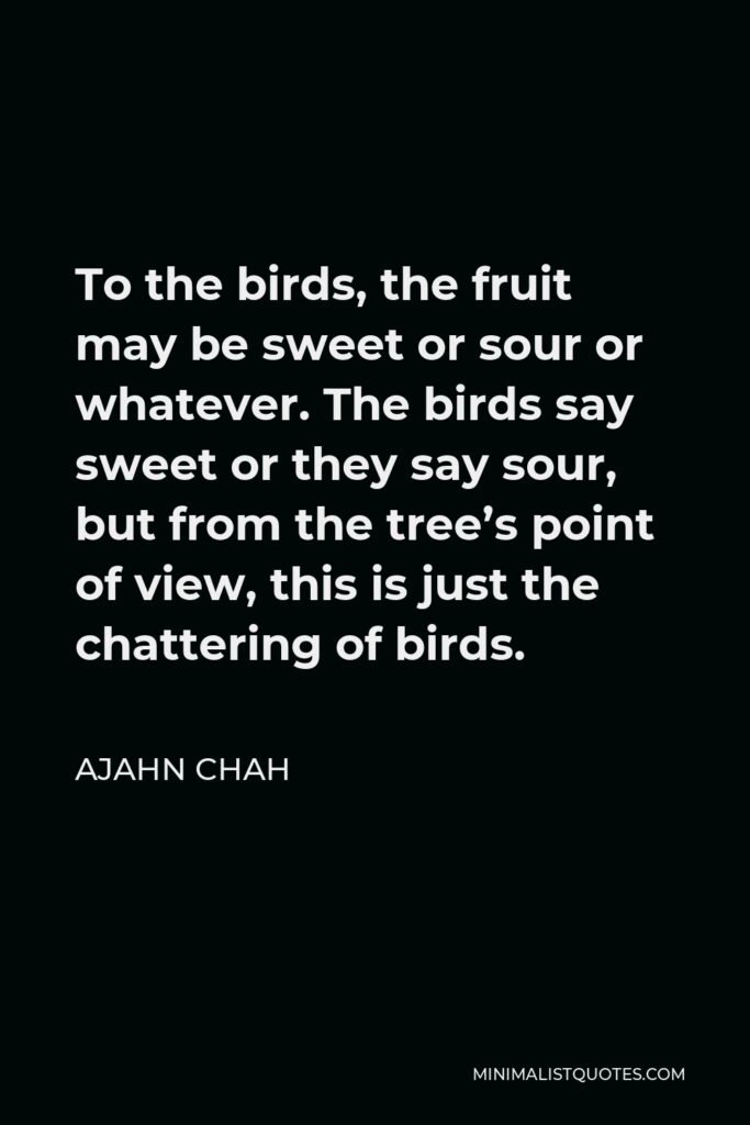 Ajahn Chah Quote - To the birds, the fruit may be sweet or sour or whatever. The birds say sweet or they say sour, but from the tree’s point of view, this is just the chattering of birds.