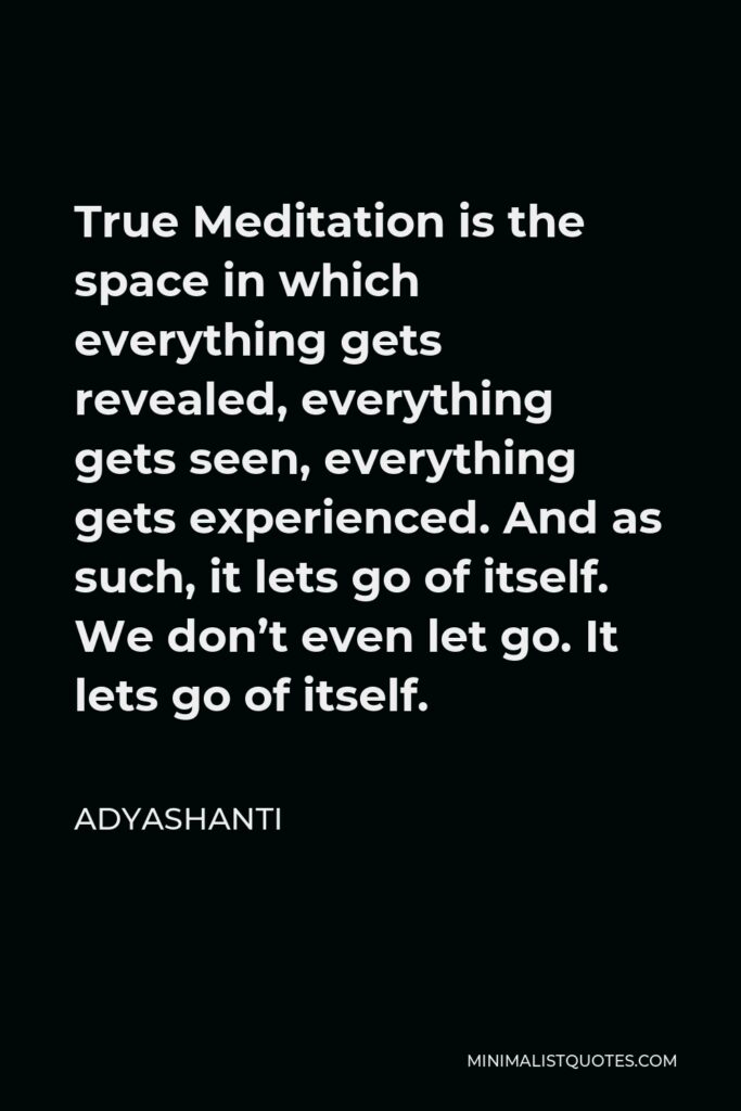 Adyashanti Quote - True Meditation is the space in which everything gets revealed, everything gets seen, everything gets experienced. And as such, it lets go of itself. We don’t even let go. It lets go of itself.