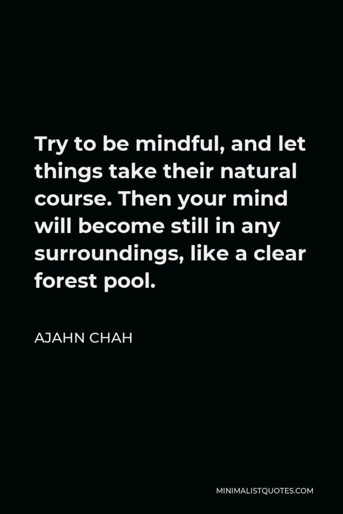 Ajahn Chah Quote - Try to be mindful, and let things take their natural course. Then your mind will become still in any surroundings, like a clear forest pool.