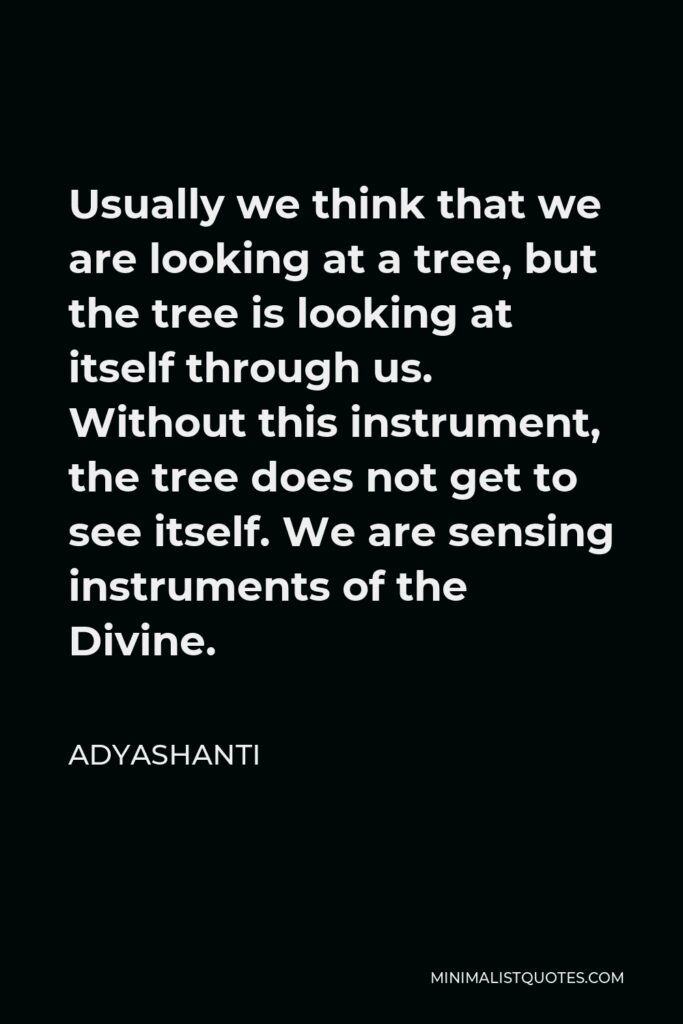 Adyashanti Quote - Usually we think that we are looking at a tree, but the tree is looking at itself through us. Without this instrument, the tree does not get to see itself. We are sensing instruments of the Divine.