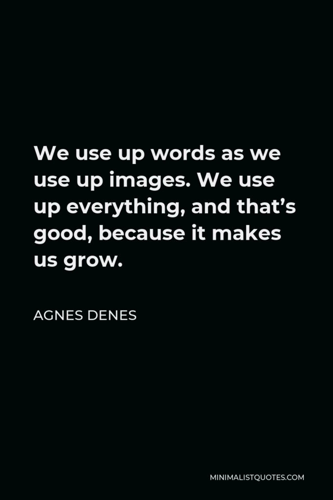 Agnes Denes Quote - We use up words as we use up images. We use up everything, and that’s good, because it makes us grow.