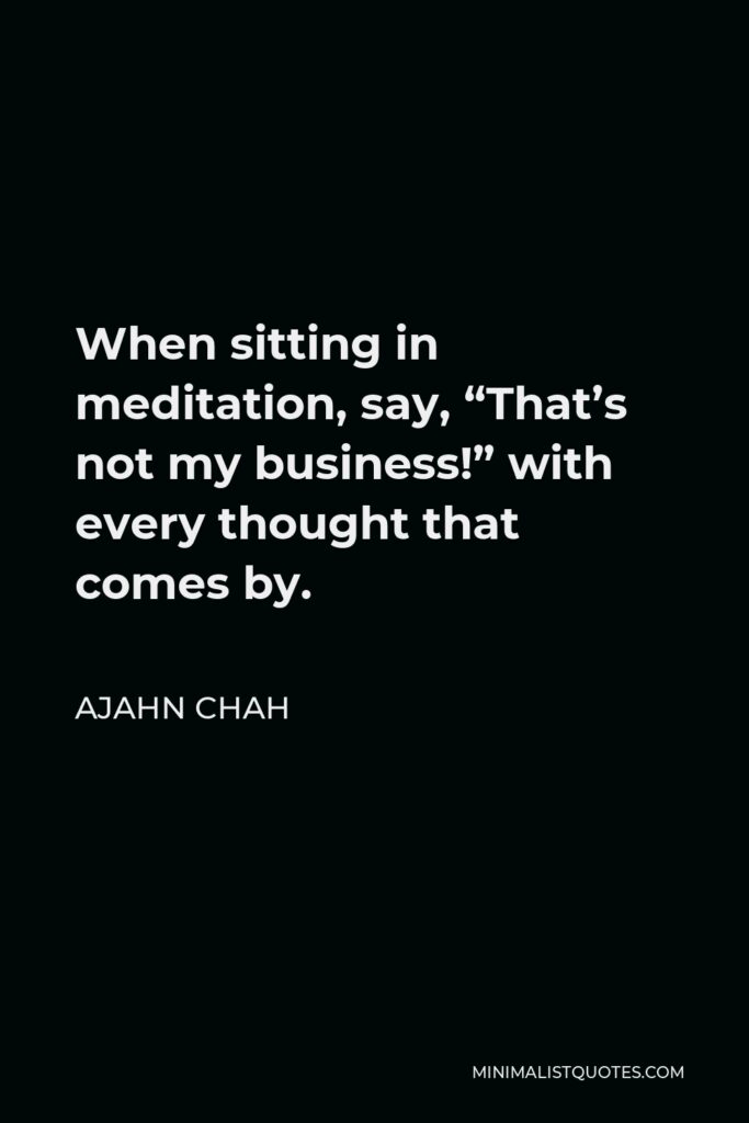 Ajahn Chah Quote - When sitting in meditation, say, “That’s not my business!” with every thought that comes by.