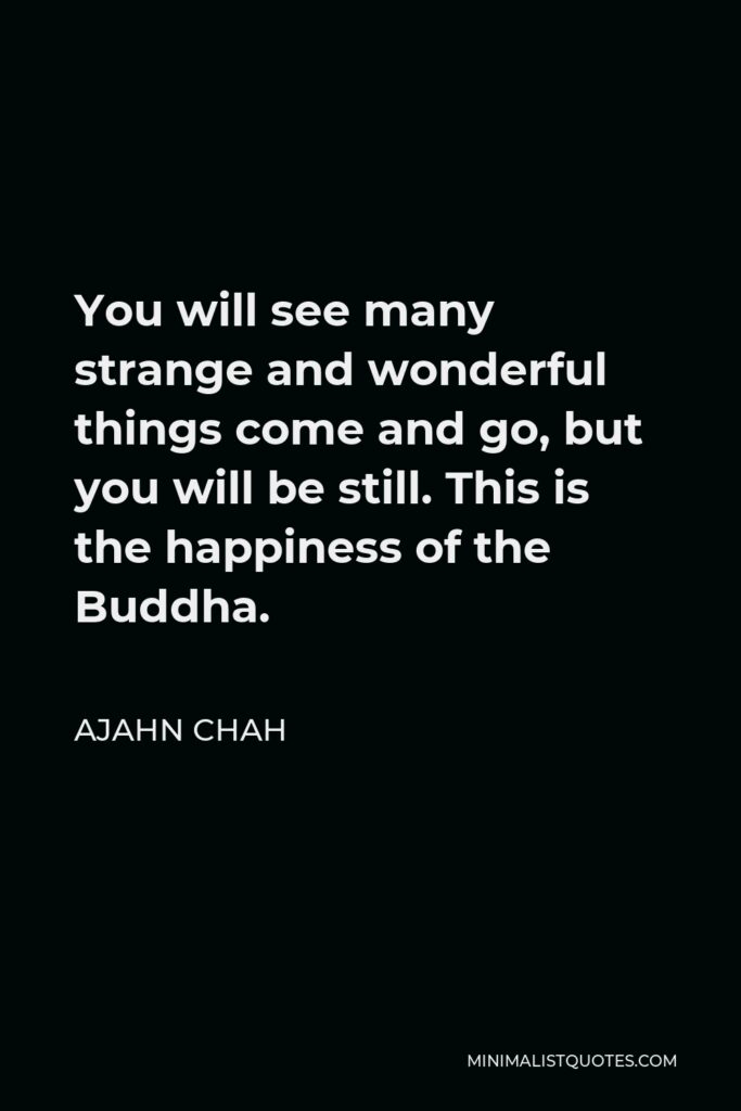 Ajahn Chah Quote - You will see many strange and wonderful things come and go, but you will be still. This is the happiness of the Buddha.