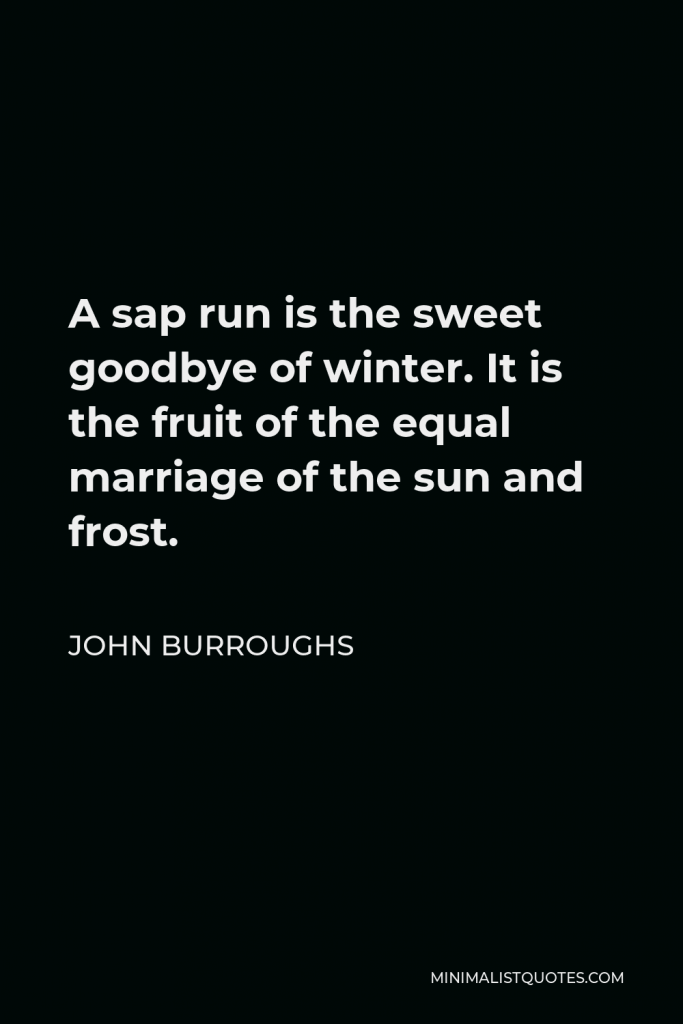 John Burroughs Quote - A sap run is the sweet goodbye of winter. It is the fruit of the equal marriage of the sun and frost.