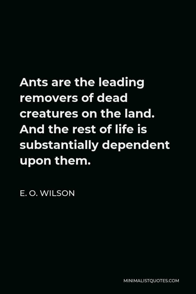 E. O. Wilson Quote - Ants are the leading removers of dead creatures on the land. And the rest of life is substantially dependent upon them.