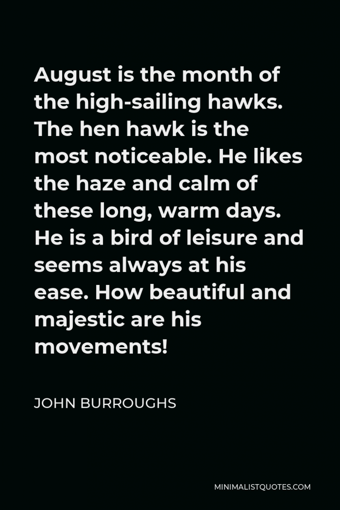 John Burroughs Quote - August is the month of the high-sailing hawks. The hen hawk is the most noticeable. He likes the haze and calm of these long, warm days. He is a bird of leisure and seems always at his ease. How beautiful and majestic are his movements!