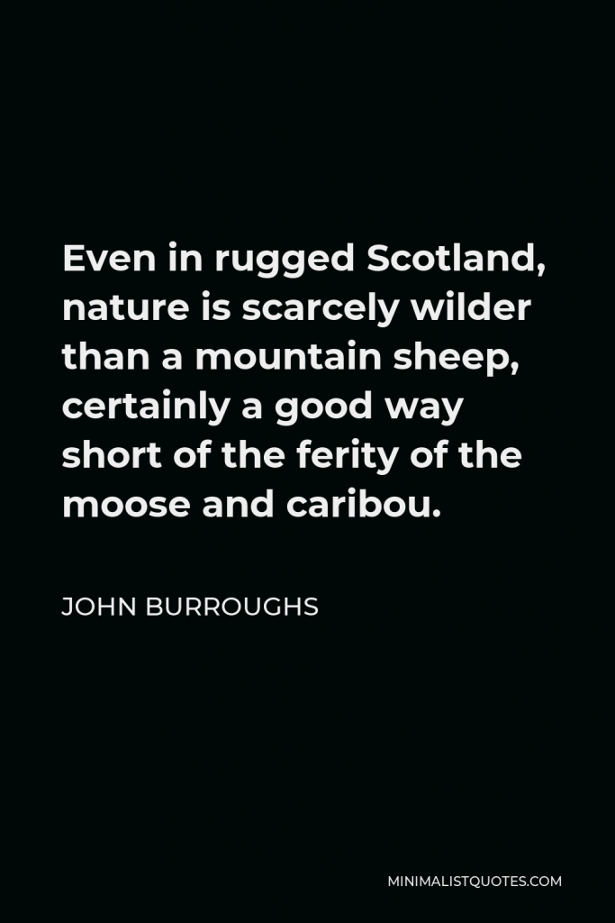 John Burroughs Quote - Even in rugged Scotland, nature is scarcely wilder than a mountain sheep, certainly a good way short of the ferity of the moose and caribou.