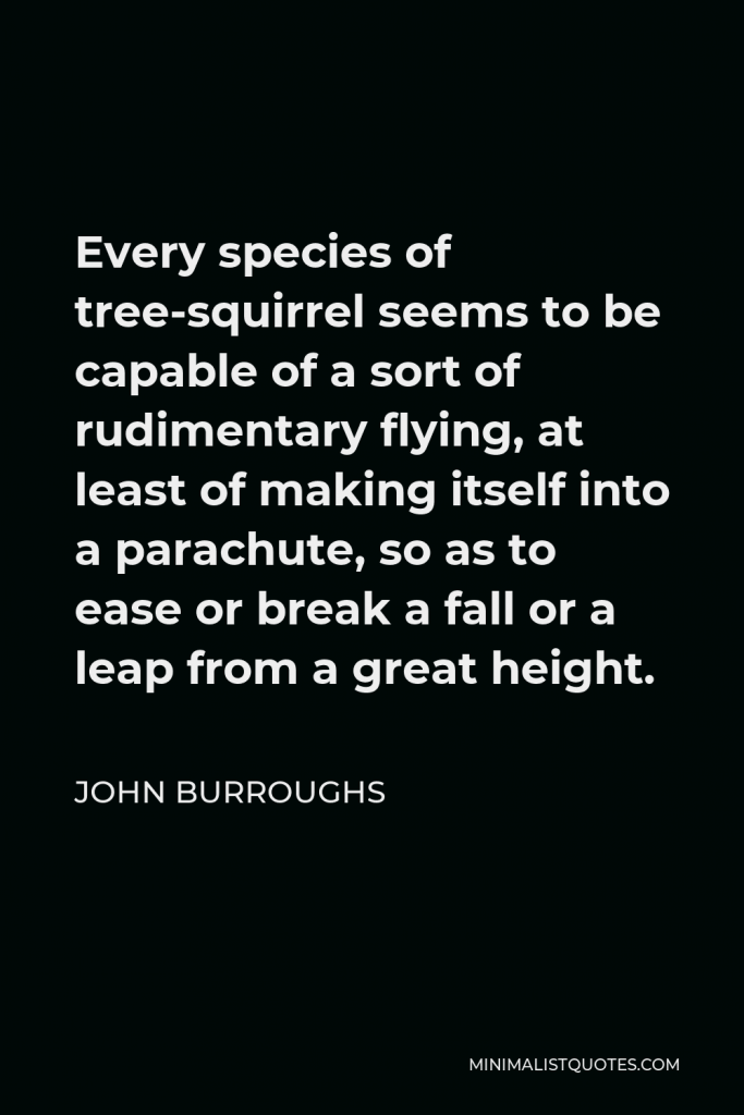 John Burroughs Quote - Every species of tree-squirrel seems to be capable of a sort of rudimentary flying, at least of making itself into a parachute, so as to ease or break a fall or a leap from a great height.