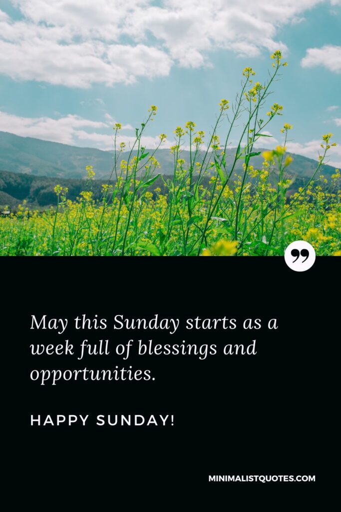 Good Morning Have A Blessed Sunday: May this Sunday starts as a week full of blessings and opportunities. Happy Sunday!