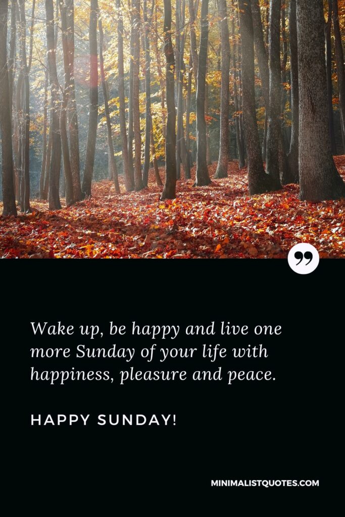 Good Morning Messages Sunday: Wake up, be happy and live one more Sunday of your life with happiness, pleasure and peace. Happy Sunday!