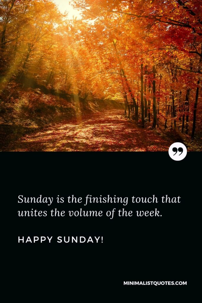 Good Morning Wishes For Sunday: Sunday is the finishing touch that unites the volume of the week. Happy Sunday!