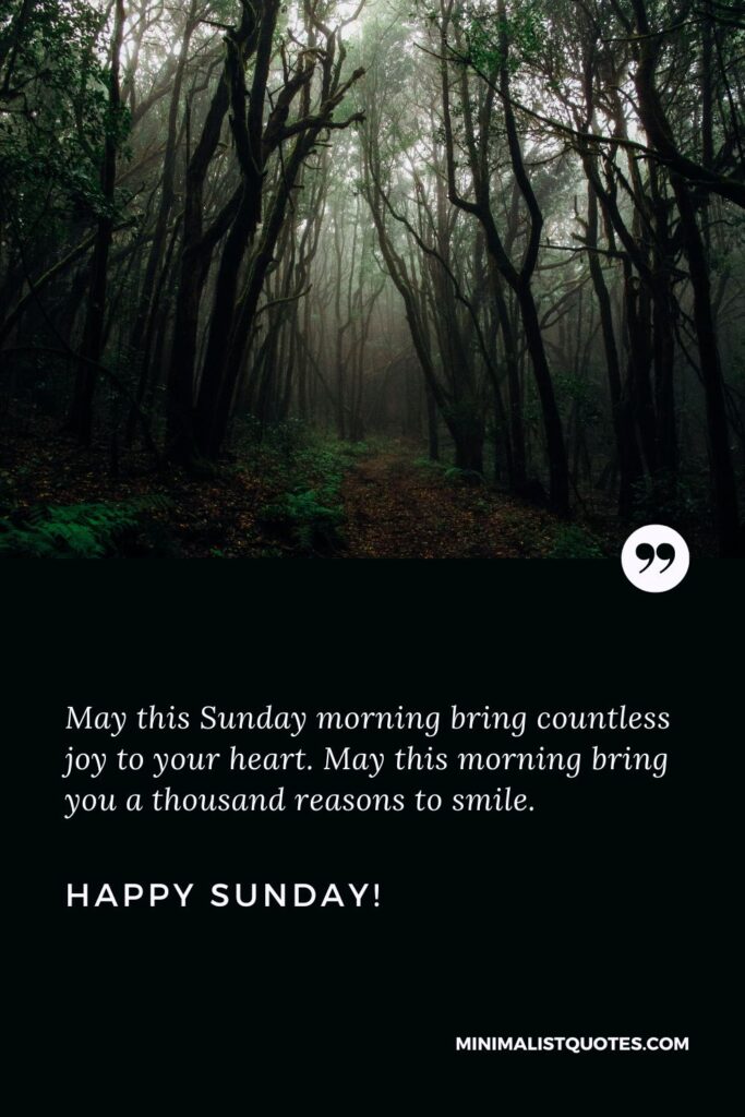 Happy Sunday Good Morning Message: May this Sunday morning bring countless joy to your heart. May this morning bring you a thousand reasons to smile. Happy Sunday!