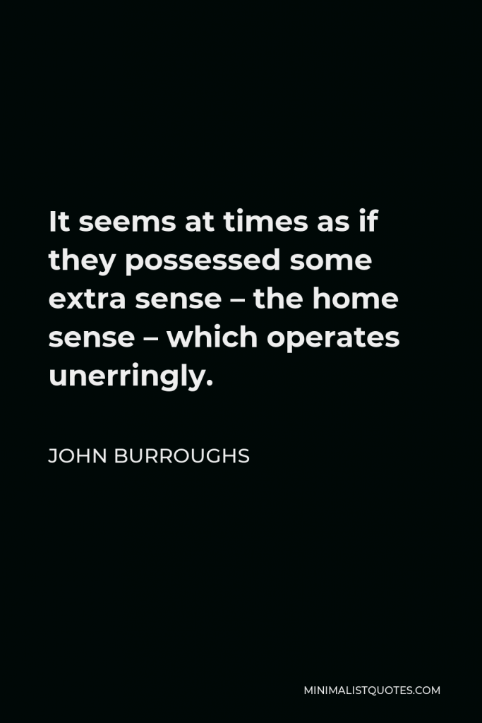 John Burroughs Quote - It seems at times as if they possessed some extra sense – the home sense – which operates unerringly.