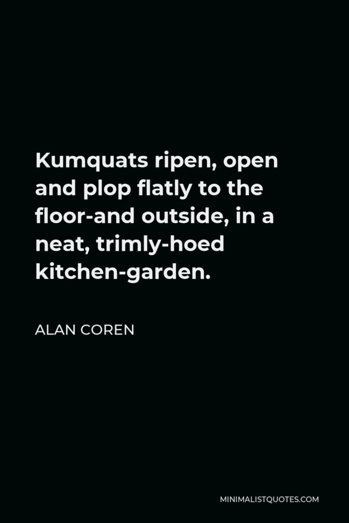 Alan Coren Quote - Kumquats ripen, open and plop flatly to the floor-and outside, in a neat, trimly-hoed kitchen-garden.