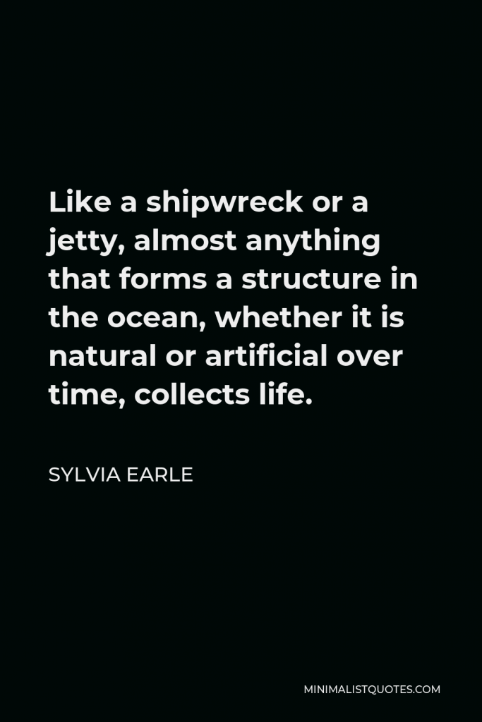 Sylvia Earle Quote - Like a shipwreck or a jetty, almost anything that forms a structure in the ocean, whether it is natural or artificial over time, collects life.