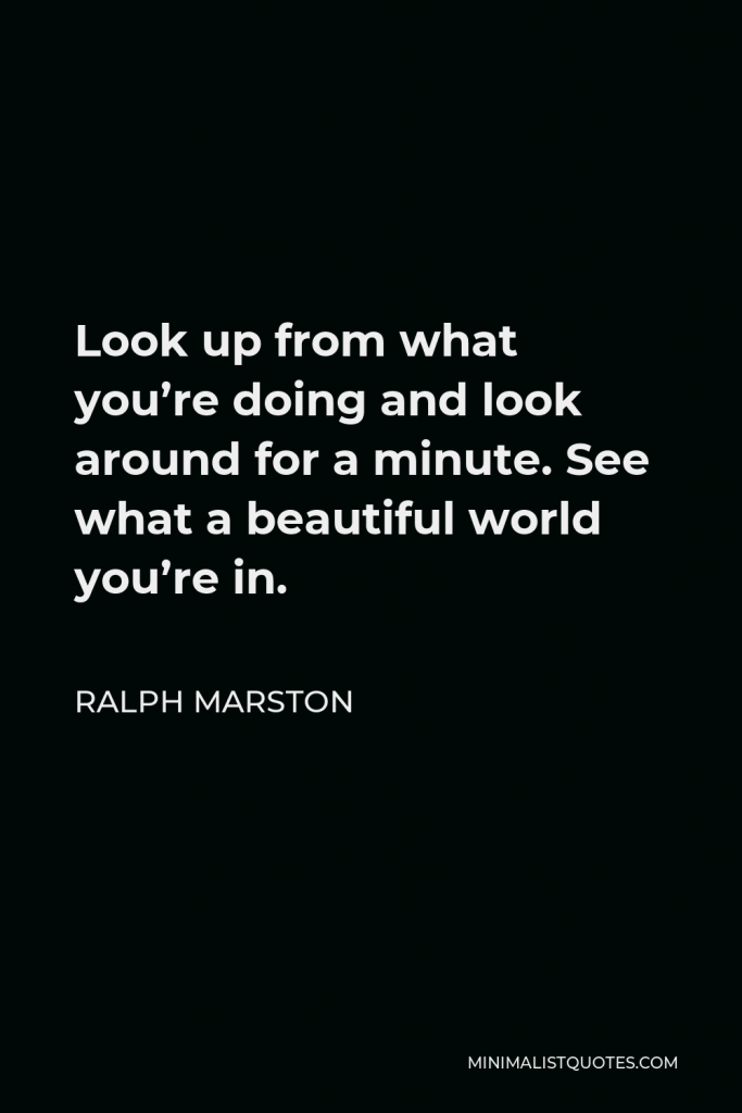 Ralph Marston Quote - Look up from what you’re doing and look around for a minute. See what a beautiful world you’re in.