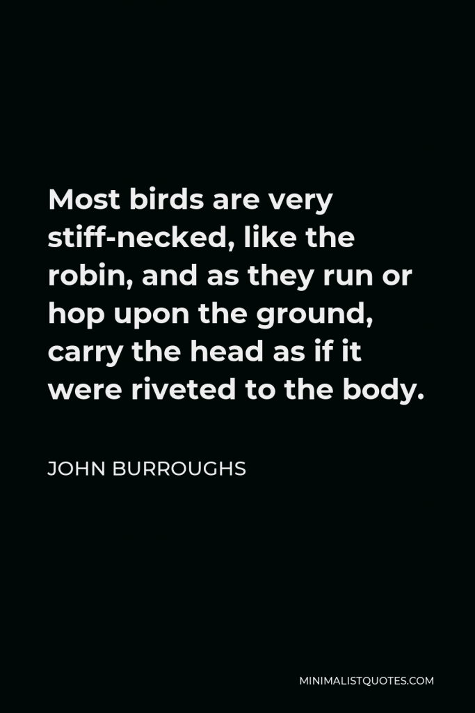 John Burroughs Quote - Most birds are very stiff-necked, like the robin, and as they run or hop upon the ground, carry the head as if it were riveted to the body.