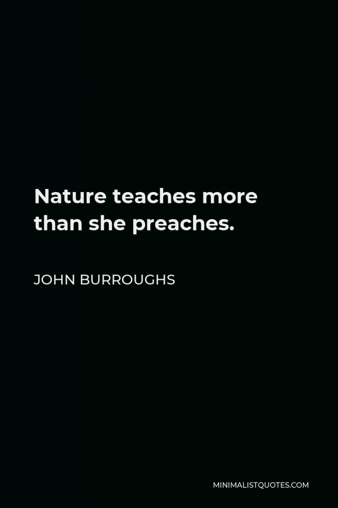 John Burroughs Quote - Nature teaches more than she preaches.