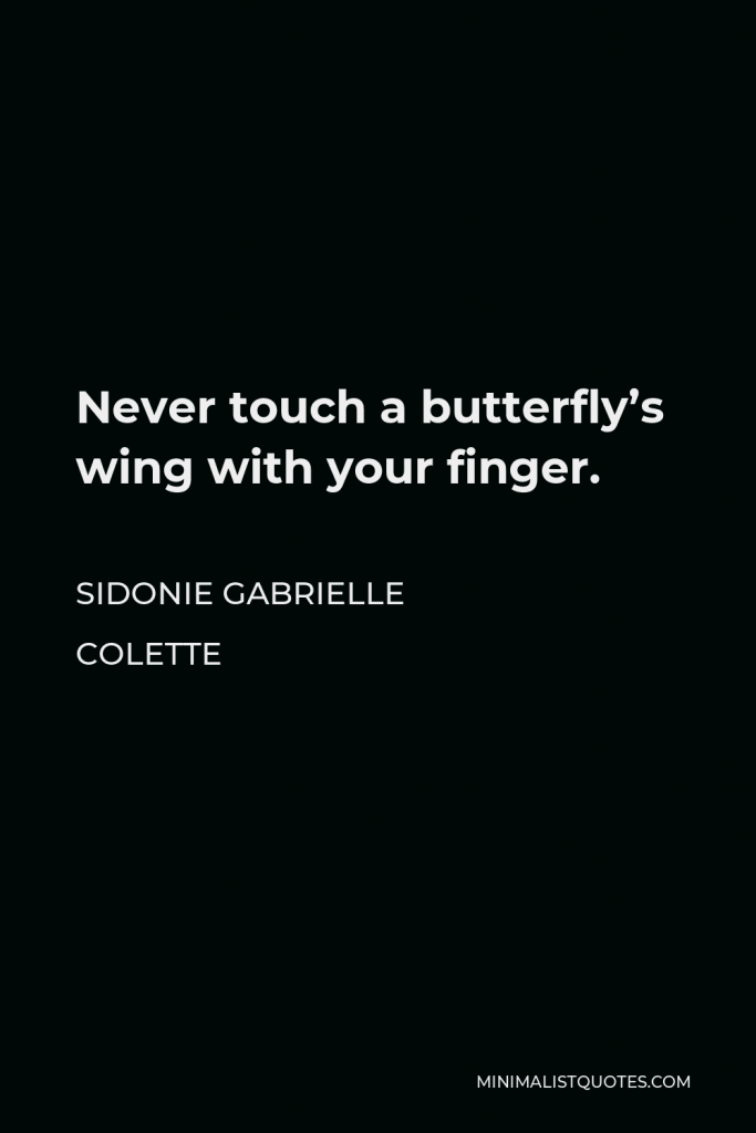 Sidonie Gabrielle Colette Quote - Never touch a butterfly’s wing with your finger.