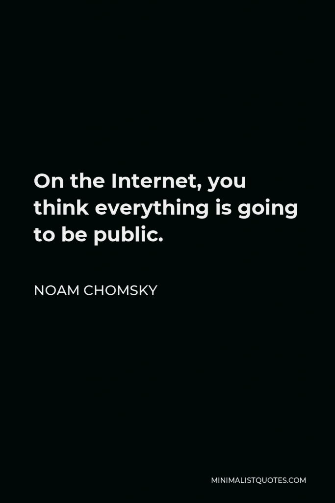 Noam Chomsky Quote - On the Internet, you think everything is going to be public.