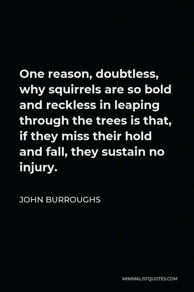 John Burroughs Quote - One reason, doubtless, why squirrels are so bold and reckless in leaping through the trees is that, if they miss their hold and fall, they sustain no injury.