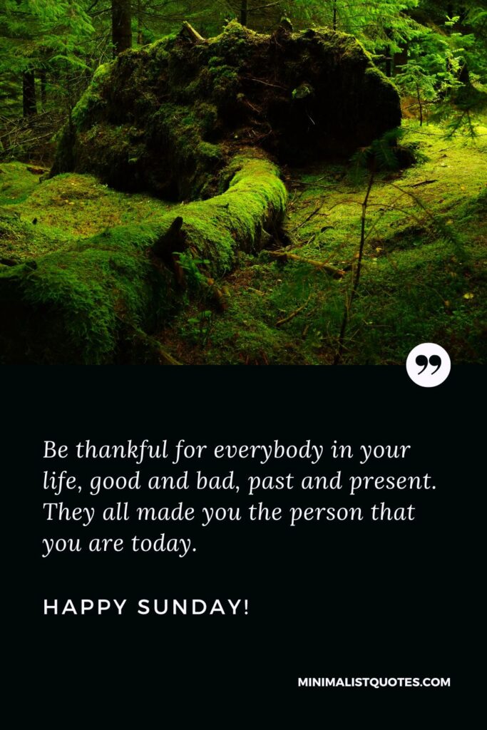 Sunday Blessings Messages: Be thankful for everybody in your life, good and bad, past and present. They all made you the person that you are today. Happy Sunday!