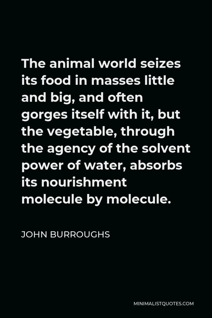 John Burroughs Quote - The animal world seizes its food in masses little and big, and often gorges itself with it, but the vegetable, through the agency of the solvent power of water, absorbs its nourishment molecule by molecule.