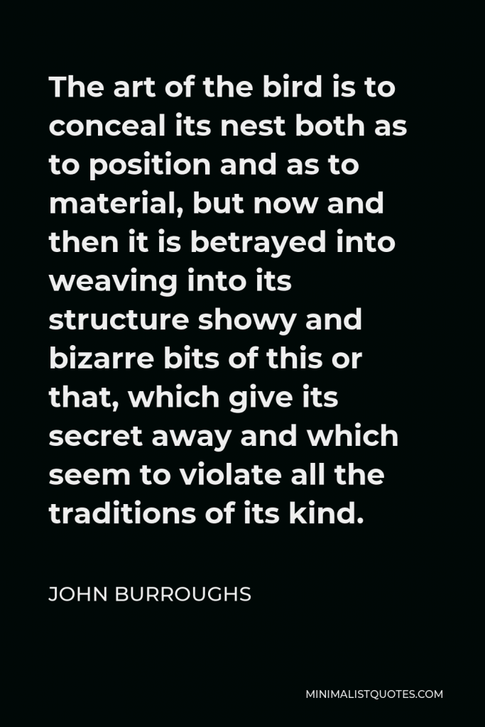 John Burroughs Quote - The art of the bird is to conceal its nest both as to position and as to material, but now and then it is betrayed into weaving into its structure showy and bizarre bits of this or that, which give its secret away and which seem to violate all the traditions of its kind.