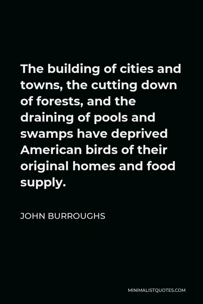 John Burroughs Quote - The building of cities and towns, the cutting down of forests, and the draining of pools and swamps have deprived American birds of their original homes and food supply.