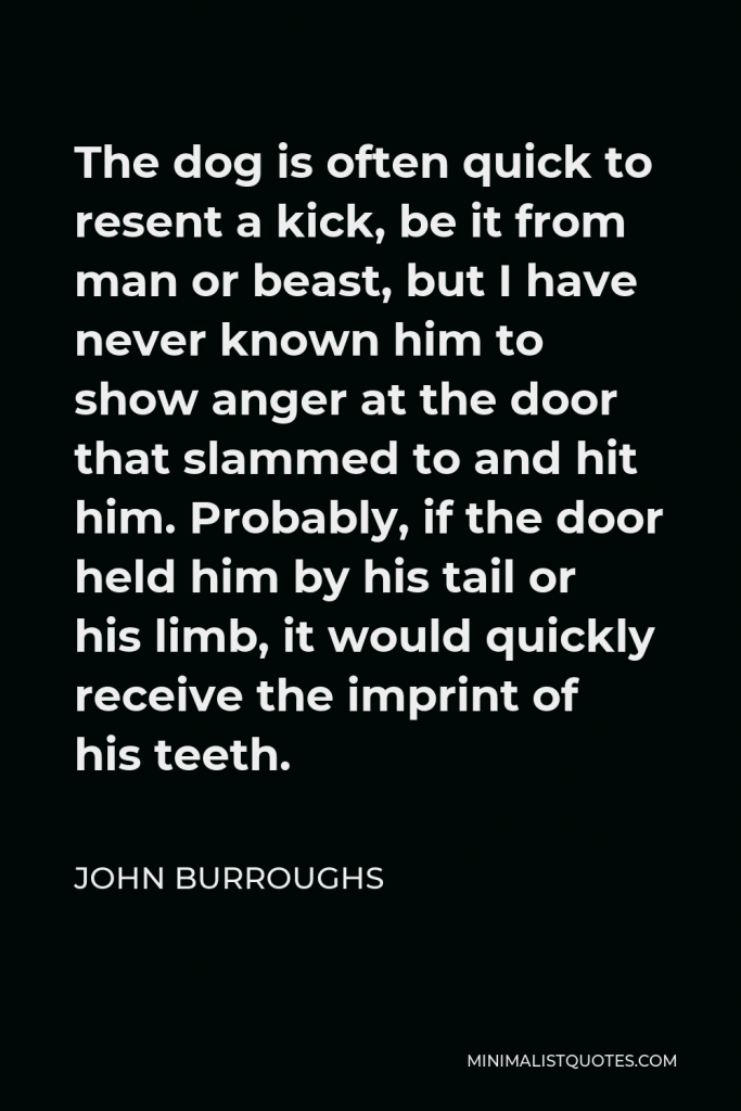 John Burroughs Quote - The dog is often quick to resent a kick, be it from man or beast, but I have never known him to show anger at the door that slammed to and hit him. Probably, if the door held him by his tail or his limb, it would quickly receive the imprint of his teeth.