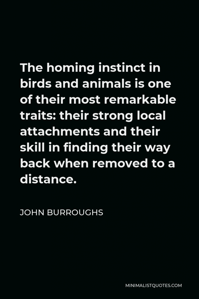 John Burroughs Quote - The homing instinct in birds and animals is one of their most remarkable traits: their strong local attachments and their skill in finding their way back when removed to a distance.