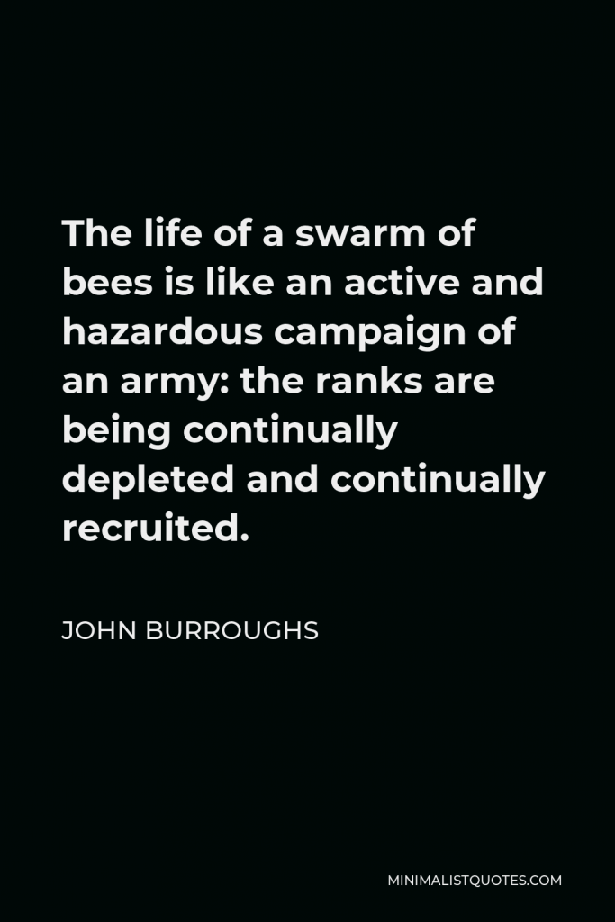 John Burroughs Quote - The life of a swarm of bees is like an active and hazardous campaign of an army: the ranks are being continually depleted and continually recruited.