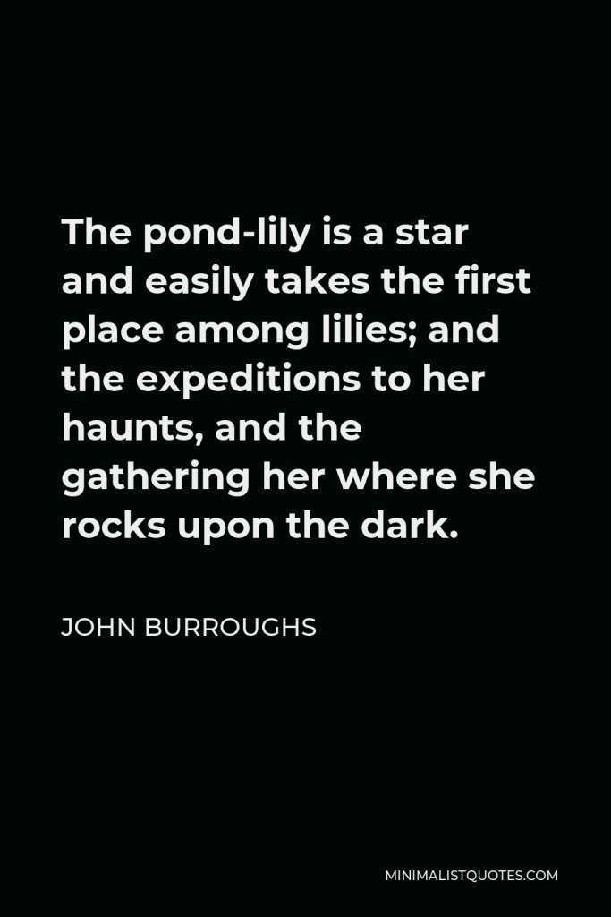 John Burroughs Quote - The pond-lily is a star and easily takes the first place among lilies; and the expeditions to her haunts, and the gathering her where she rocks upon the dark.