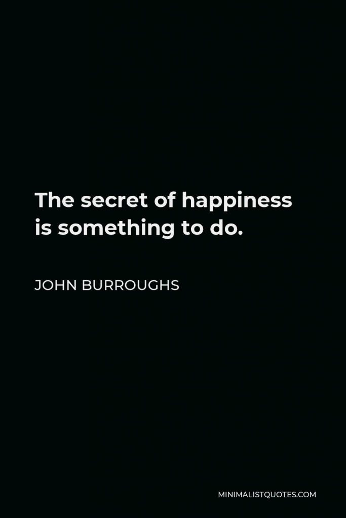 John Burroughs Quote - The secret of happiness is something to do.