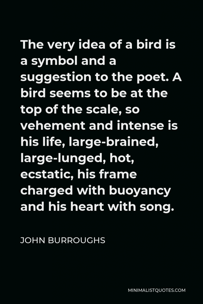 John Burroughs Quote - The very idea of a bird is a symbol and a suggestion to the poet. A bird seems to be at the top of the scale, so vehement and intense is his life, large-brained, large-lunged, hot, ecstatic, his frame charged with buoyancy and his heart with song.