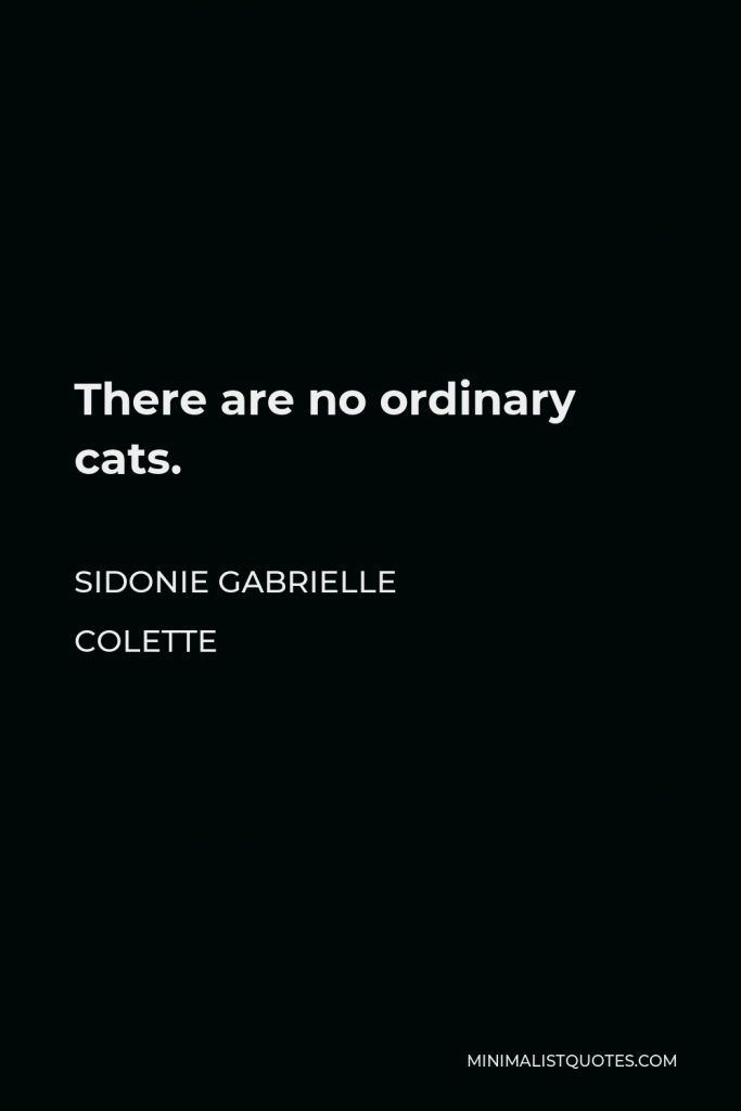 Sidonie Gabrielle Colette Quote - There are no ordinary cats.