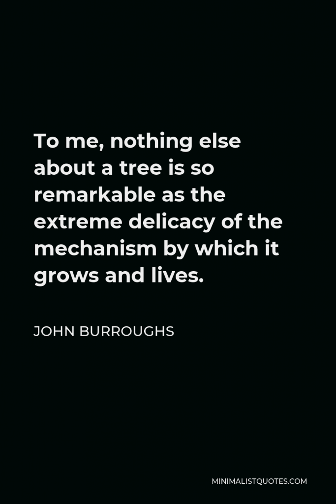 John Burroughs Quote - To me, nothing else about a tree is so remarkable as the extreme delicacy of the mechanism by which it grows and lives.