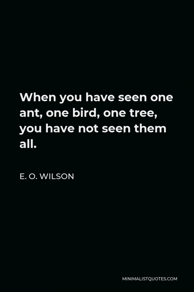 E. O. Wilson Quote - When you have seen one ant, one bird, one tree, you have not seen them all.
