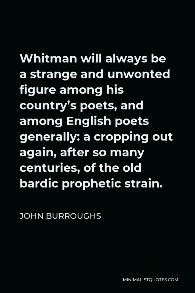 John Burroughs Quote - Whitman will always be a strange and unwonted figure among his country’s poets, and among English poets generally: a cropping out again, after so many centuries, of the old bardic prophetic strain.