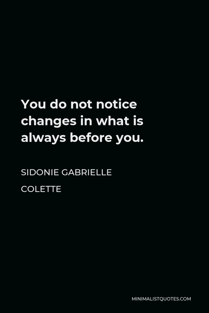 Sidonie Gabrielle Colette Quote - You do not notice changes in what is always before you.