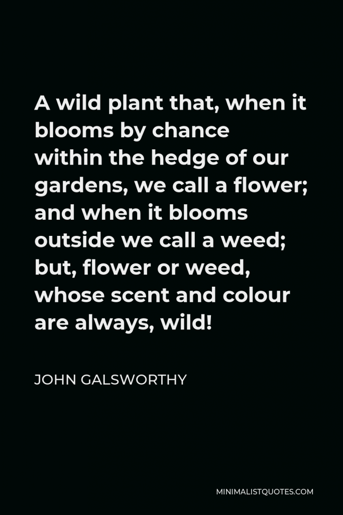 John Galsworthy Quote - A wild plant that, when it blooms by chance within the hedge of our gardens, we call a flower; and when it blooms outside we call a weed; but, flower or weed, whose scent and colour are always, wild!
