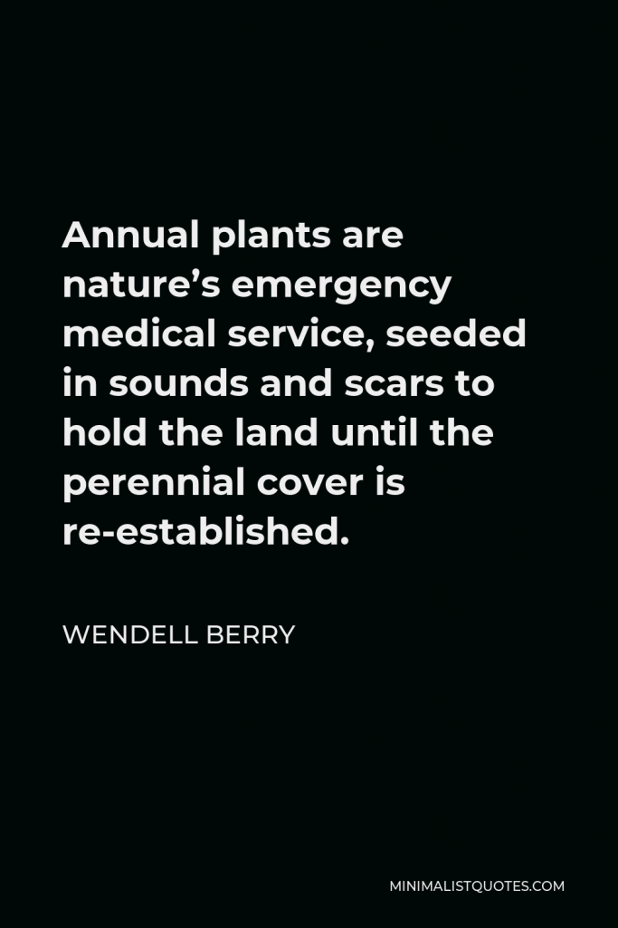 Wendell Berry Quote - Annual plants are nature’s emergency medical service, seeded in sounds and scars to hold the land until the perennial cover is re-established.