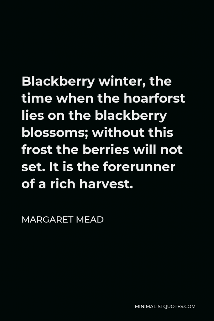 Margaret Mead Quote - Blackberry winter, the time when the hoarforst lies on the blackberry blossoms; without this frost the berries will not set. It is the forerunner of a rich harvest.